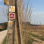 Mas Dels Noguers Holiday home Torroella De Montgri
